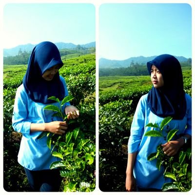I'm a pharmacist student | STIKES Muhammadiyah BJM '12 | 19-08-94 | MAN 2 Model BJM '09 | 75974F09 | WeChat & Line : rii_arii | KakaoTalk : ariyanti94