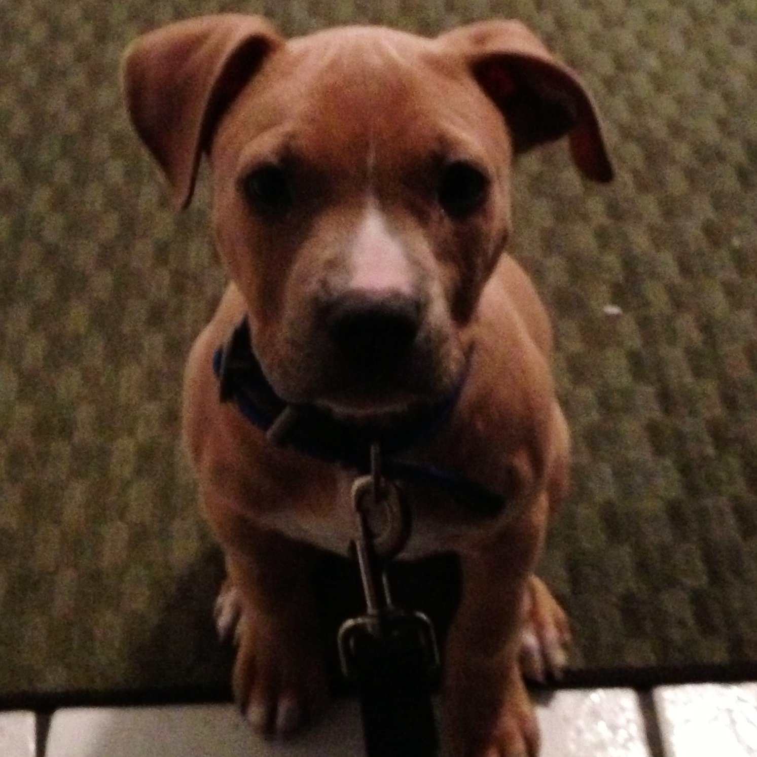 jtcmichal's profile picture. Video editor and videographer specializing with FCPX. I cover all sporting events, live bands/shows, small weddings & special events. Very reasonable rates.