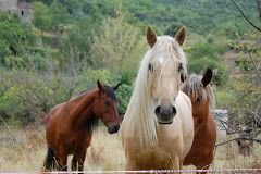 mariesollmarie1's profile picture. 