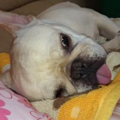 necomata0113's profile image