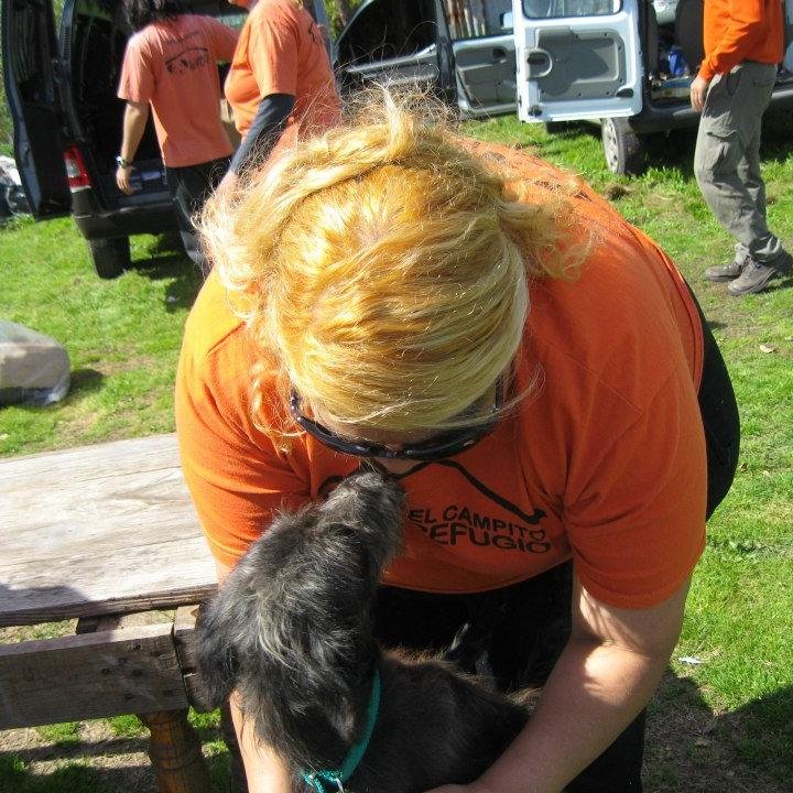 Creo firmemente, en que la solidaridad entre los que amamos a los animales, sera la unica salida para ellos...Juntos somos mas...