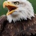 Potty#British Patriot🇬🇧🇬🇧🇬🇧 (@pottyman2) Twitter profile photo Potty#British Patriot🇬🇧🇬🇧🇬🇧 (@pottyman2) Twitter profile photo