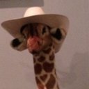 Lisa Levenson - @LisaLevRo - Twitter