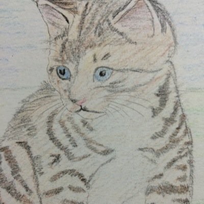 GTA(pc)でドリフトしてます 最近は Minectaft/GTA5 PCverをやっています よかったらGTAのクルーもやってます
