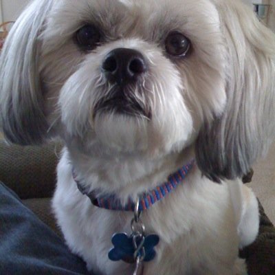 TexDoc78154's profile picture. 