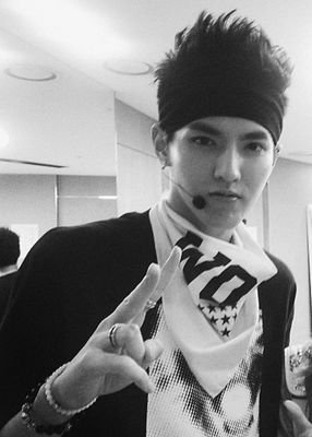 Kris_Wolf_botTH Profile Picture