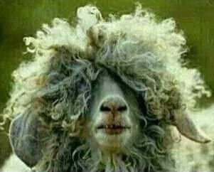 Fanastardo's profile picture. Pase, que hay cocido.