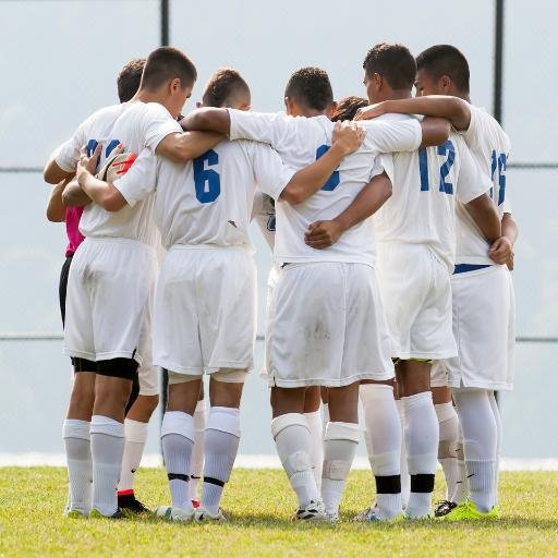 Believe in the Dream, Succeed as a Team... Who are we?  CMSV    NCAA Division III and Skyline Conference Member