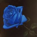 Casey Angel - @SwitchfootFan3 - Twitter