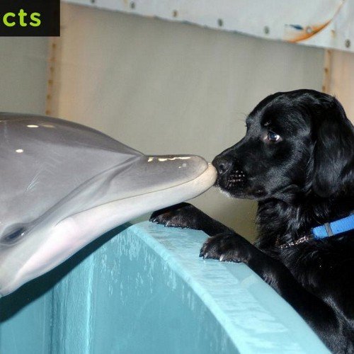 riccardob19711's profile picture. Sono di parma e cerco donne nella provincia di Parma e nella provincia di Reggio Emilia anche qualche amichetto