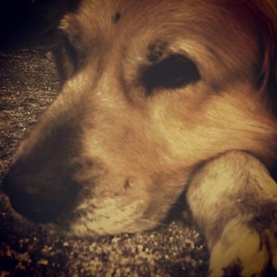 silvana1406's profile picture. #Todo pasa y todo queda
Pero lo nuestro es pasar
Pasar haciendo caminos
Caminos sobre la mar