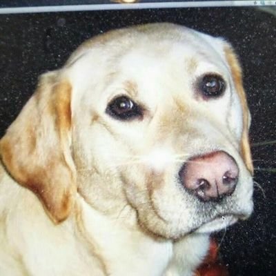 LeakeMaleake's profile picture. 