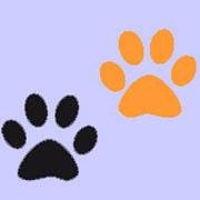 CommuManagerZgz's profile picture. Community Manager en Zaragoza.