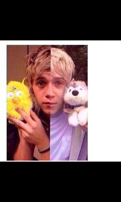 ✨ hey sunshine, this is a free follow so don't follow back. don't forget your idol loves you ✨                    please follow this girl