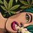 mrscib's profile image