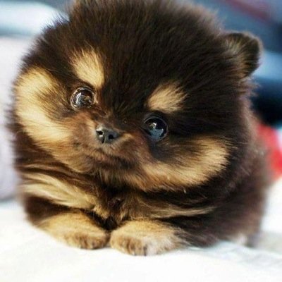 hannahsmithy123's profile picture. Hannah Smith|Stich Fangirl|Bae Of Da Year|Love My Brucie Pup|Freya Is My Best m8|Love MC Live MC Play MC|http://t.co/IqPotEWlPk is my best server :D Love U