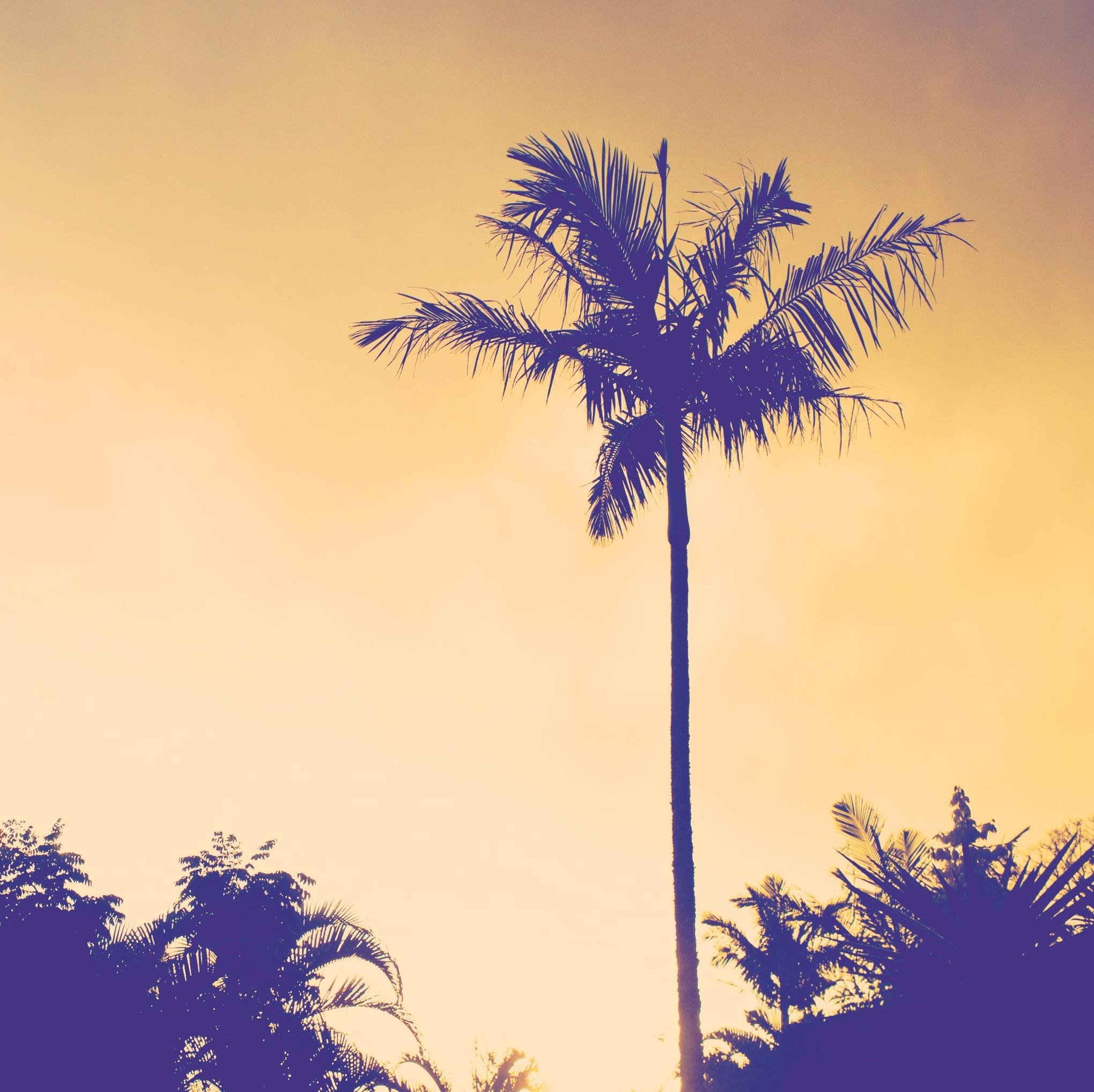 What's trending in #Travel