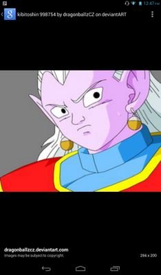 SurpremKai's profile picture.  is a result of Potara Fusion between Supreme Kai and his servant Kibito. im still the surprem kai