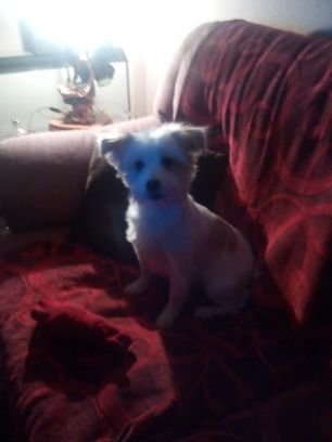 mjramosjimenez8's profile picture. De jaén ni ... adoro a mi perro y a mi familia; la música; leer y el cine