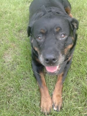 Rui18310's profile picture. 