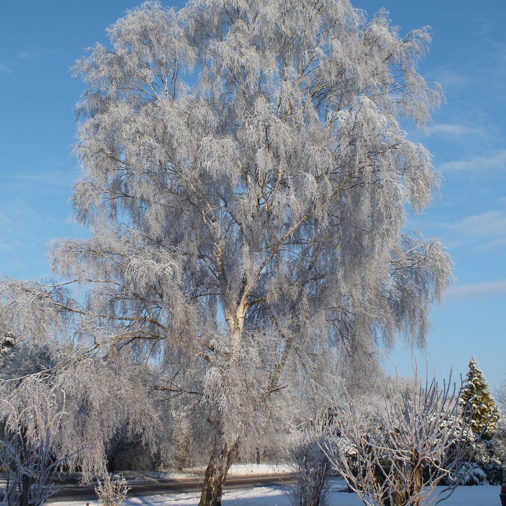 FranCrook1's profile picture. 