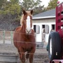 Julie Corwin - @jukietar - Twitter