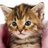 Suhaib807's profile image