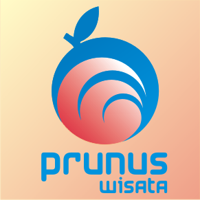 informasi pariwisata indonesia (daya tarik wisata, hotel, transportasi, dan penyedia jasa pariwisata lainnya)