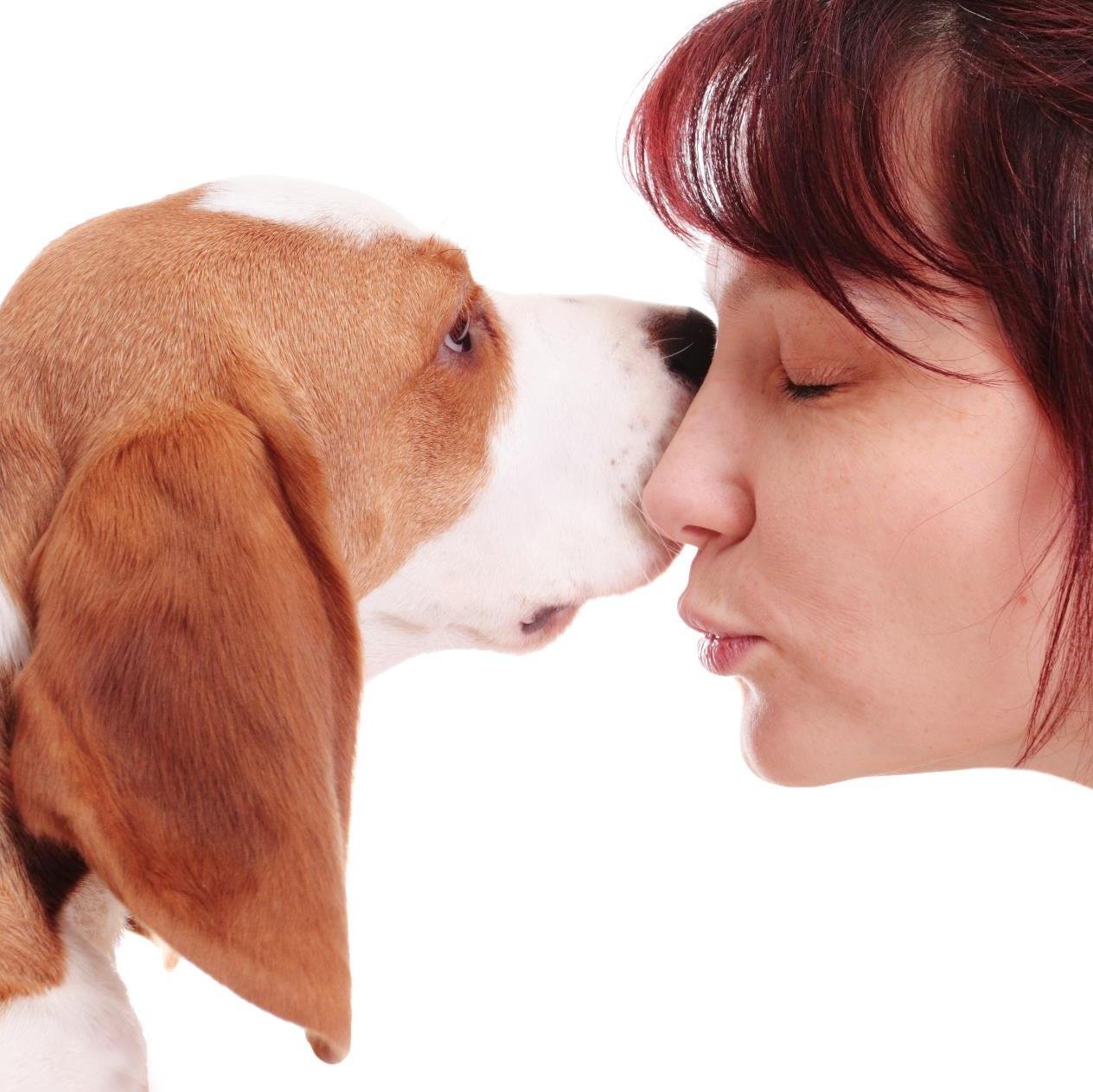 BriarhillVets's profile picture. We are a 100% small animal practice based on the edge of Galway city. We provide a 24 hour a day, 365 day a year service to our clients and patients.