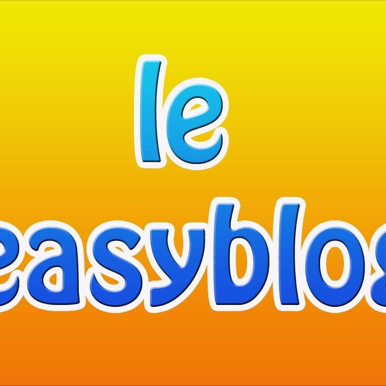 leeasyblog's profile picture. bloggeur