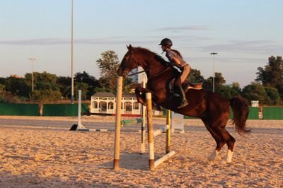 AidaAguilera01's profile picture. 