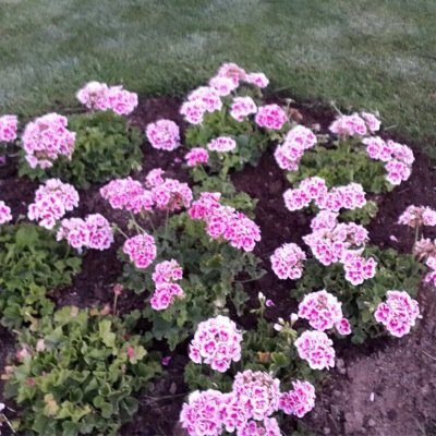 b_birnur's profile picture. Stockholm