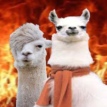 LhamasduMal's profile picture. Sorria e Sinta Medo ao Mesmo Tempo,Increva-se no Nosso Canal no Youtube!!
http://t.co/WYJvBKuK1H…


E-mail Para Contato:batatahashi@gmail.com