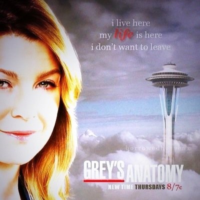 follow me love callie and arizona love is love i'am lesbian