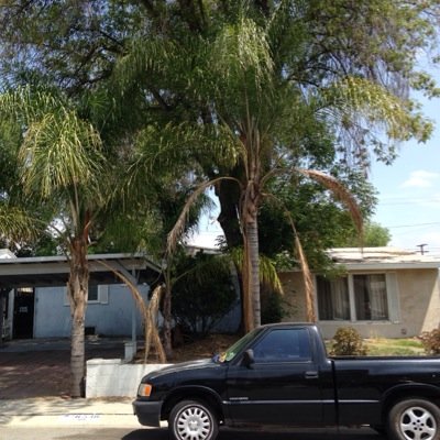 HouseWaco's profile picture. An indie-friendly film location with 4,000 sq ft of wacky interior space. Lots of #horror #locations and kitsch. Hit us up! thewacohouse@gmail.com