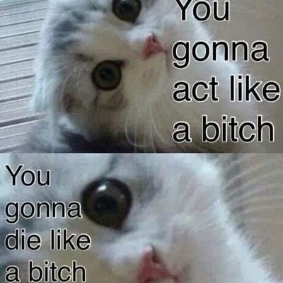 DragynWyllow's profile picture. Witch, Japanese Enthusiast, African American, fledgling gamer, writer, artist, beginner violinist, amateur pianist, anime fan, music fan :3