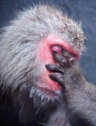 TheSkeptichead's profile picture. 