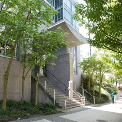 MayushSoni's profile picture. 