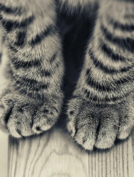 Gerda_Syper's profile picture. Веселая девчонка...
 #Followback #followme #followyou #following #follow #взаимныйфолловинг #читаювзаимно #читайменя #взаимно #читаю