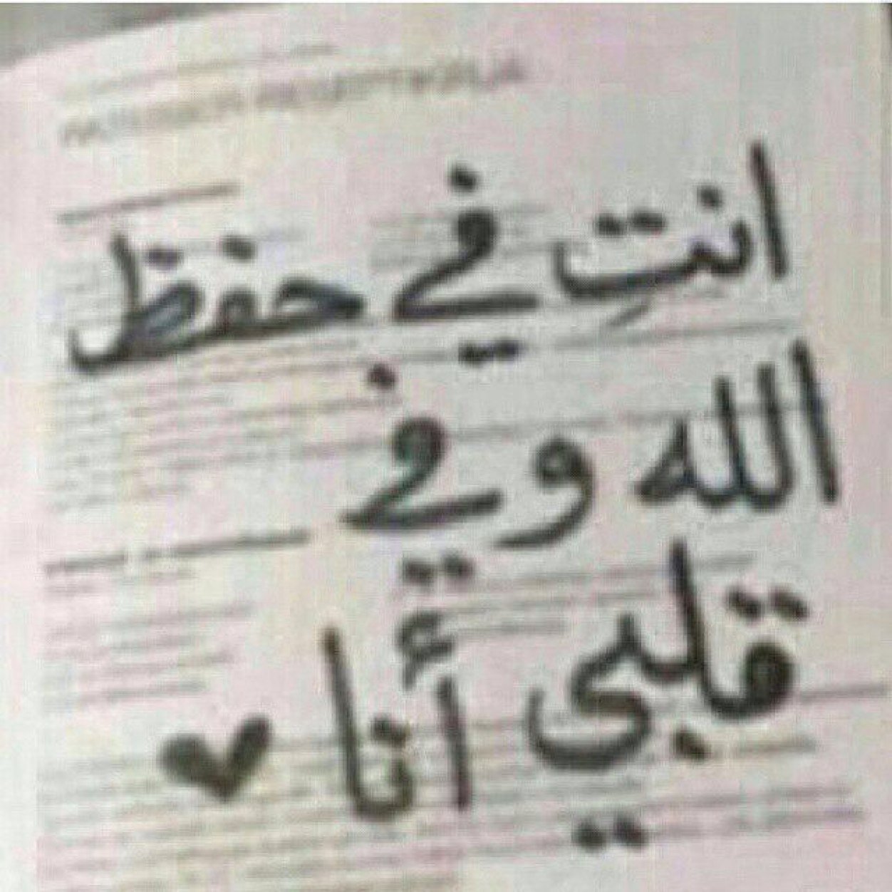 ابو نواف لتوصيل المشاوير والطلبات المنزليه داخل الطائف  باسعار مخفظه جدآللتواصل والحجز  (0560647787)
