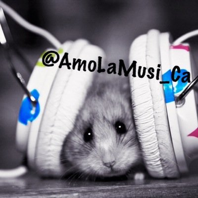 AmoLaMusi_ca's profile picture. Las mejores frases de música y todo lo relacionado a ello.
Sigo a los que me siguen.✌️