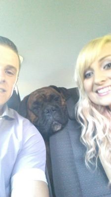 johnsy_13's profile picture. 