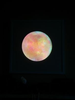 thisisdijon's profile picture. 