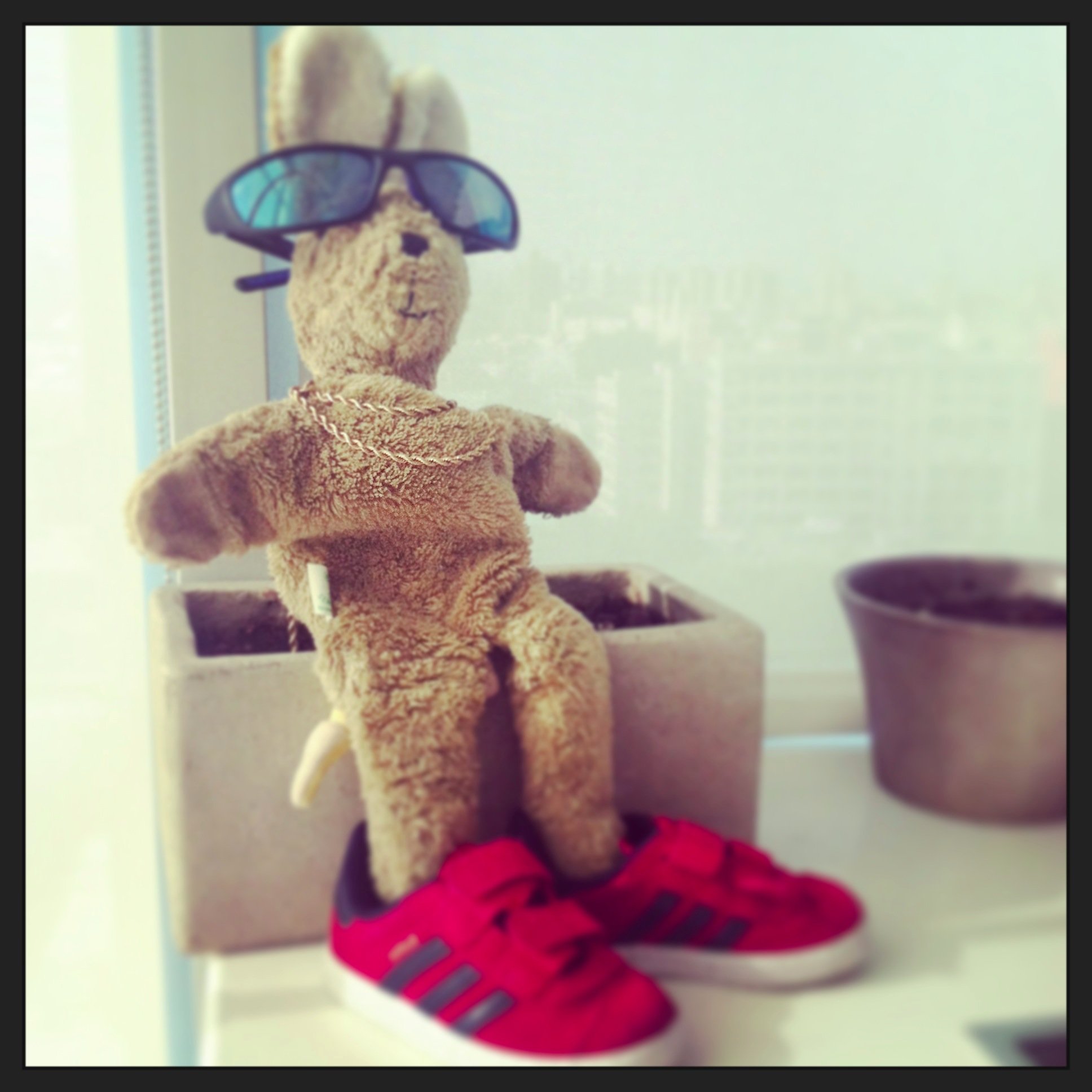 The Original Bunny from Brooklyn