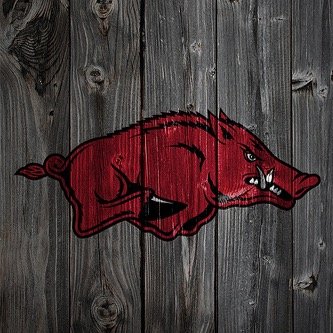 uofark2019 Profile Picture