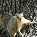 Mickey Flynn - @himsdow - Twitter