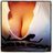 PornDotComLily's profile image