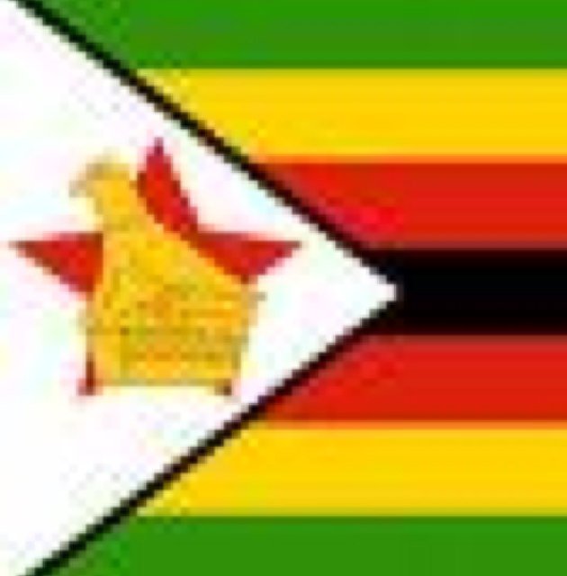 If the Zim dollar comes back we may as well trade in firewood