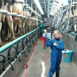 HaasjesHenri's profile picture. 