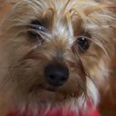 Debbie Shepard - @dshepard54 - Twitter